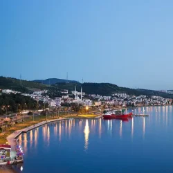 Aliağa evden eve nakliyat